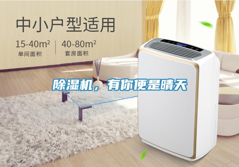 除濕機，有你便是晴天