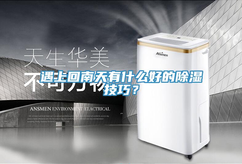 遇上回南天有什么好的除濕技巧？