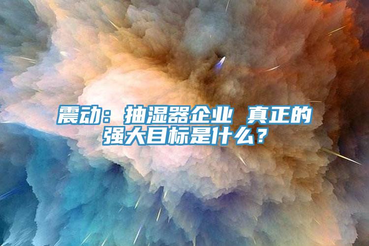 震動(dòng)：抽濕器企業(yè) 真正的強(qiáng)大目標(biāo)是什么？