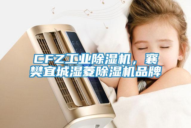 CFZ工業(yè)除濕機，襄樊宜城濕菱除濕機品牌