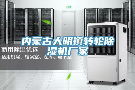 內(nèi)蒙古大明鎮(zhèn)轉(zhuǎn)輪除濕機(jī)廠(chǎng)家