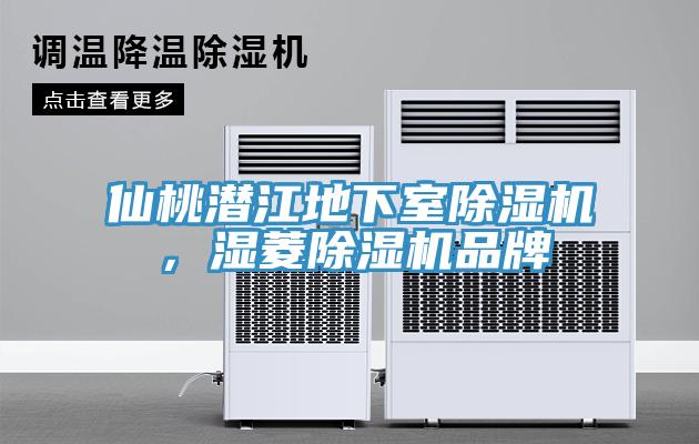 仙桃潛江地下室除濕機，濕菱除濕機品牌
