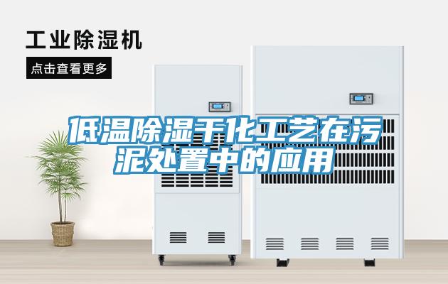 低溫除濕干化工藝在污泥處置中的應用