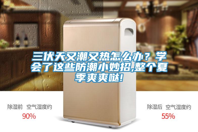 三伏天又潮又熱怎么辦？學(xué)會(huì)了這些防潮小妙招,整個(gè)夏季爽爽噠!