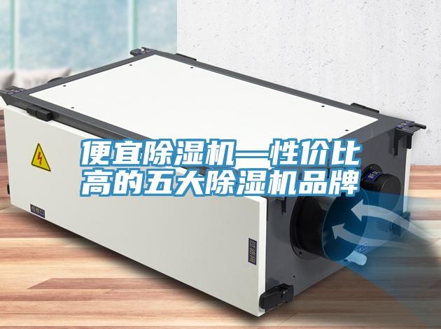 便宜除濕機(jī)—性價比高的五大除濕機(jī)品牌