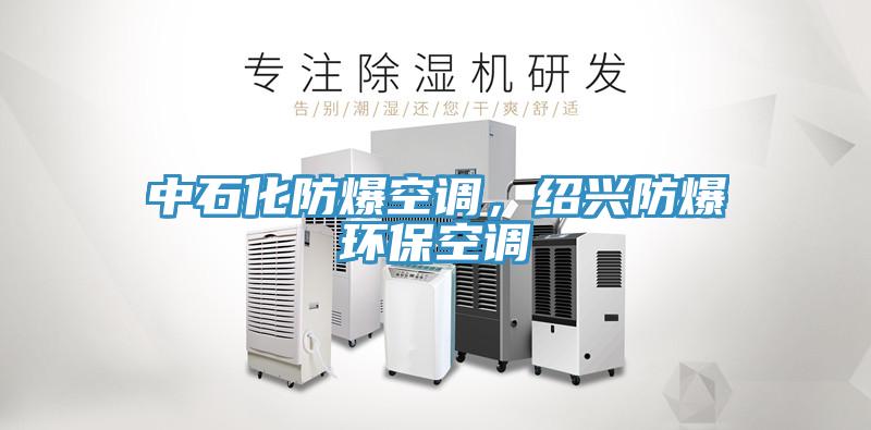 中石化防爆空調(diào)，紹興防爆環(huán)?？照{(diào)