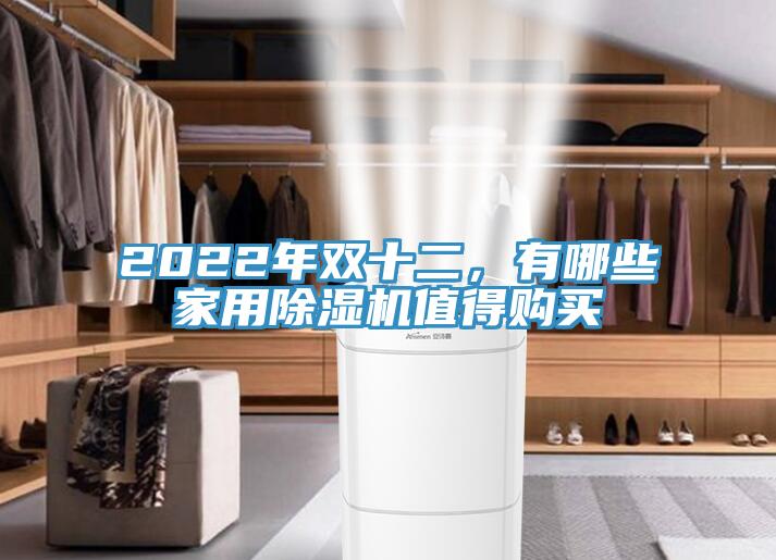 2022年雙十二，有哪些家用除濕機值得購買