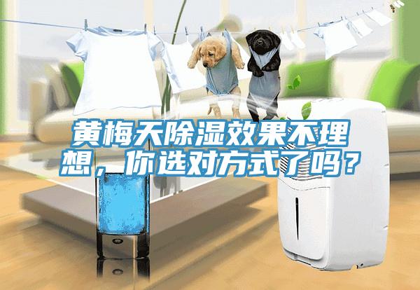 黃梅天除濕效果不理想，你選對方式了嗎？