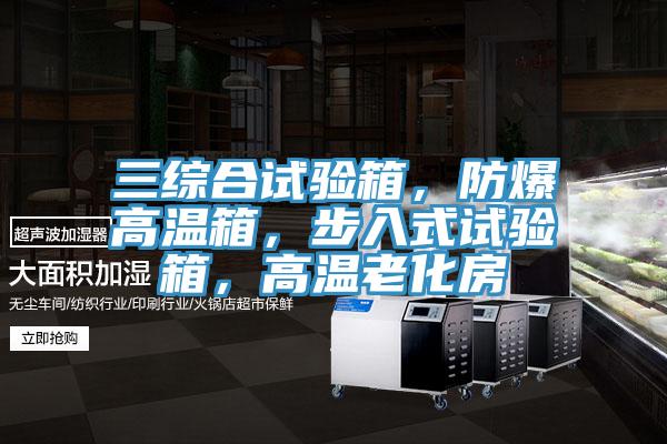 三綜合試驗箱，防爆高溫箱，步入式試驗箱，高溫老化房