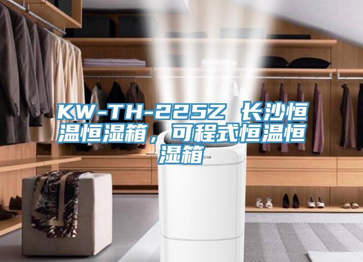 KW-TH-225Z 長沙恒溫恒濕箱，可程式恒溫恒濕箱