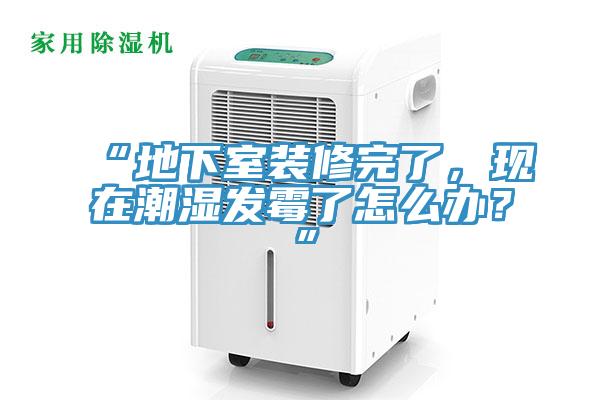 “地下室裝修完了，現(xiàn)在潮濕發(fā)霉了怎么辦？”