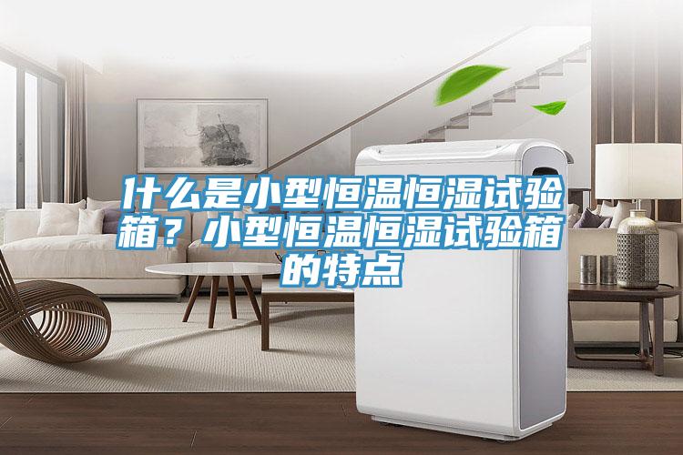 什么是小型恒溫恒濕試驗(yàn)箱？小型恒溫恒濕試驗(yàn)箱的特點(diǎn)