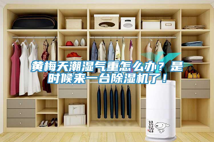 黃梅天潮濕氣重怎么辦？是時(shí)候來一臺除濕機(jī)了！