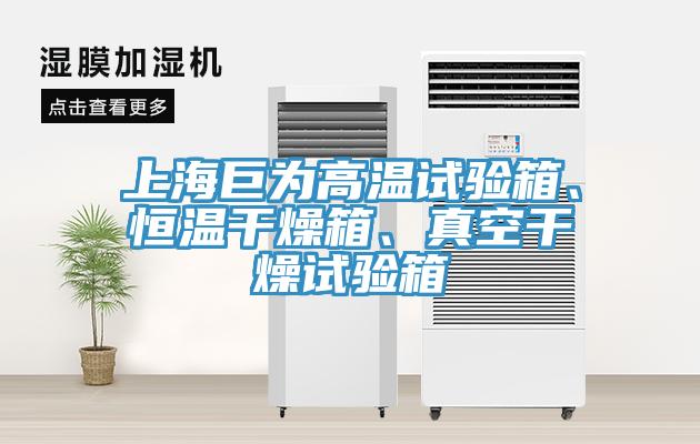 上海巨為高溫試驗(yàn)箱、恒溫干燥箱、真空干燥試驗(yàn)箱