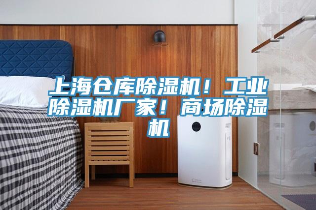 上海倉庫除濕機(jī)！工業(yè)除濕機(jī)廠家！商場除濕機(jī)