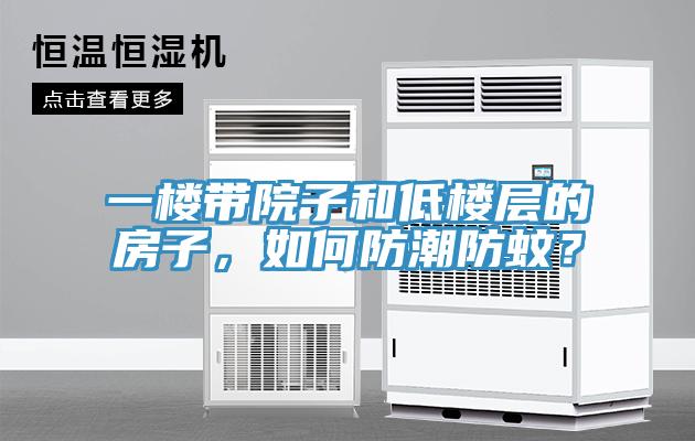 一樓帶院子和低樓層的房子，如何防潮防蚊？