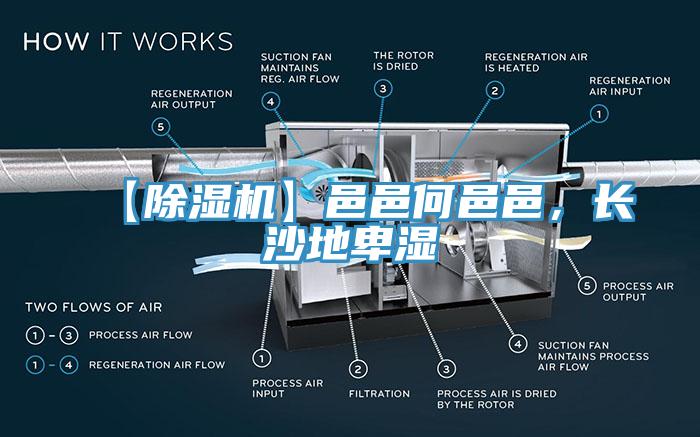 【除濕機】邑邑何邑邑，長沙地卑濕