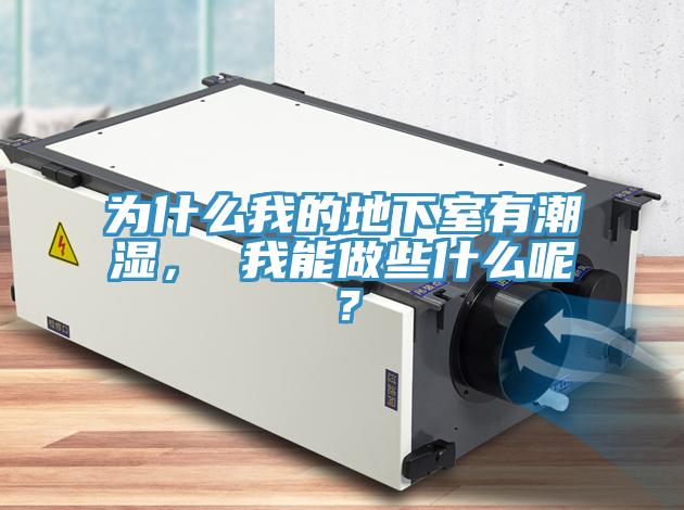 為什么我的地下室有潮濕， 我能做些什么呢？