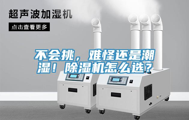 不會(huì)挑，難怪還是潮濕！除濕機(jī)怎么選？