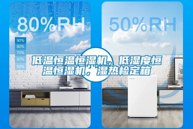 低溫恒溫恒濕機(jī)，低濕度恒溫恒濕機(jī)，濕熱檢定箱