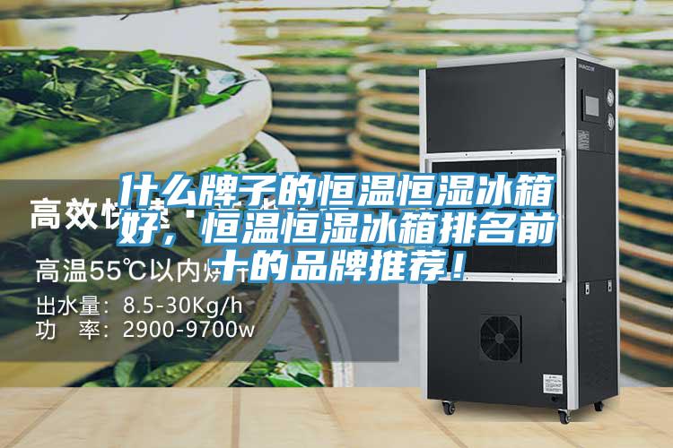 什么牌子的恒溫恒濕冰箱好，恒溫恒濕冰箱排名前十的品牌推薦！