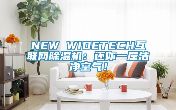 NEW WIDETECH互聯(lián)網(wǎng)除濕機(jī)：還你一屋潔凈空氣！