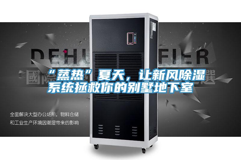 “蒸熱”夏天，讓新風除濕系統(tǒng)拯救你的別墅地下室