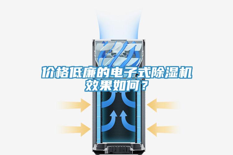 價格低廉的電子式除濕機效果如何？