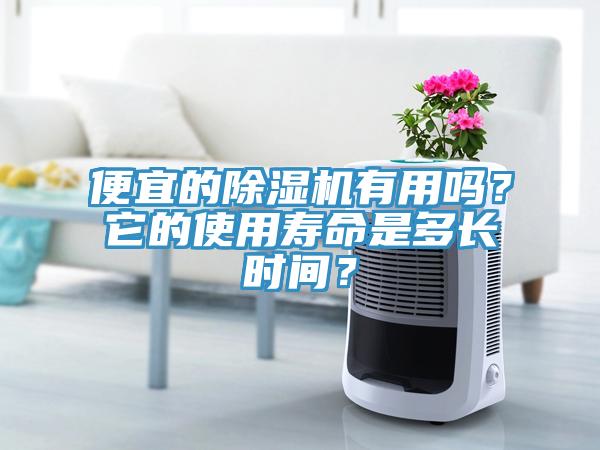 便宜的除濕機(jī)有用嗎？它的使用壽命是多長(zhǎng)時(shí)間？
