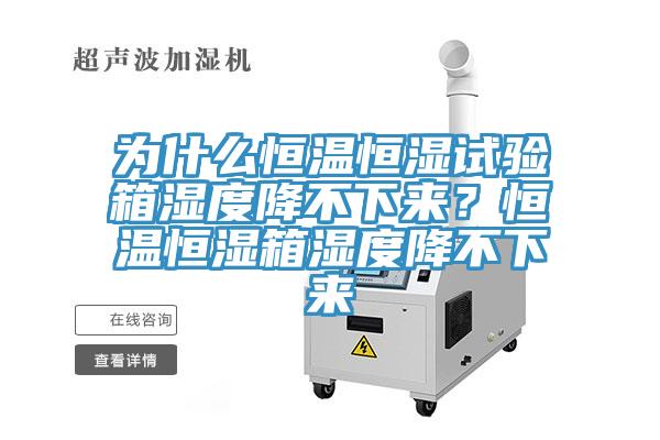 為什么恒溫恒濕試驗箱濕度降不下來？恒溫恒濕箱濕度降不下來