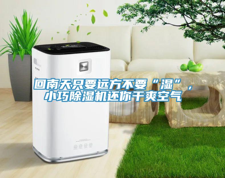 回南天只要遠(yuǎn)方不要“濕”，小巧除濕機(jī)還你干爽空氣