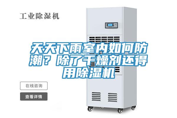 天天下雨室內(nèi)如何防潮？除了干燥劑還得用除濕機(jī)