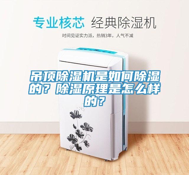 吊頂除濕機(jī)是如何除濕的？除濕原理是怎么樣的？
