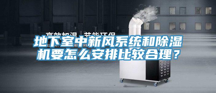 地下室中新風(fēng)系統(tǒng)和除濕機要怎么安排比較合理？