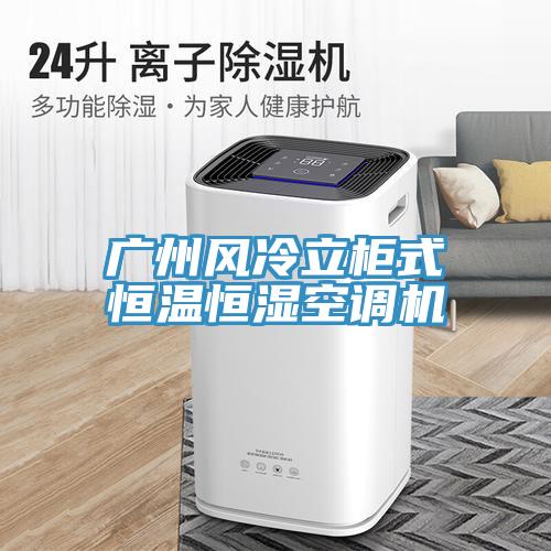 廣州風(fēng)冷立柜式恒溫恒濕空調(diào)機