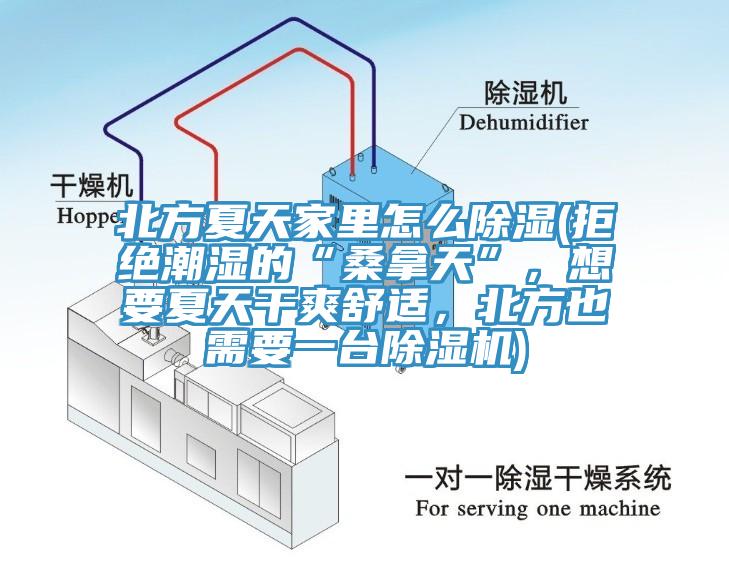 北方夏天家里怎么除濕(拒絕潮濕的“桑拿天”，想要夏天干爽舒適，北方也需要一臺除濕機)
