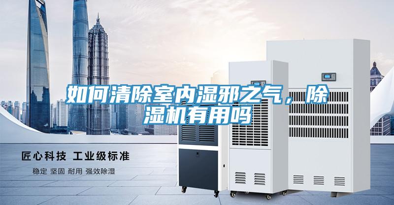 如何清除室內(nèi)濕邪之氣，除濕機有用嗎