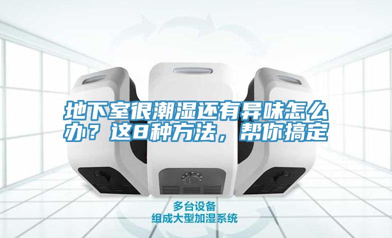 地下室很潮濕還有異味怎么辦？這8種方法，幫你搞定