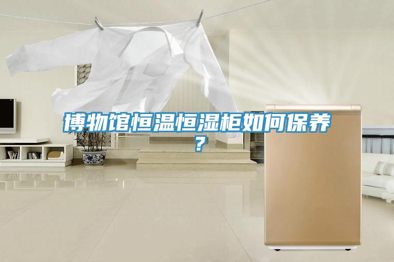博物館恒溫恒濕柜如何保養(yǎng)？