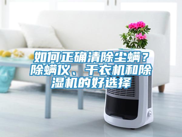 如何正確清除塵螨？除螨儀、干衣機(jī)和除濕機(jī)的好選擇