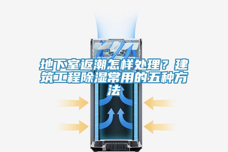 地下室返潮怎樣處理？建筑工程除濕常用的五種方法