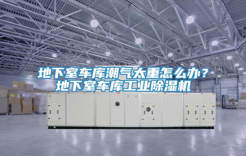 地下室車庫潮氣太重怎么辦？地下室車庫工業(yè)除濕機
