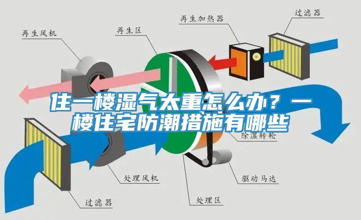 住一樓濕氣太重怎么辦？一樓住宅防潮措施有哪些