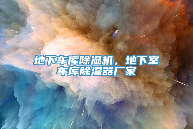 地下車(chē)庫(kù)除濕機(jī)，地下室車(chē)庫(kù)除濕器廠家