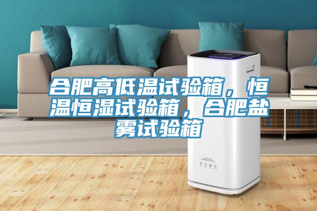 合肥高低溫試驗(yàn)箱，恒溫恒濕試驗(yàn)箱，合肥鹽霧試驗(yàn)箱