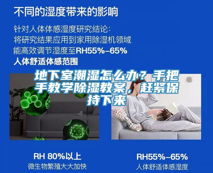 地下室潮濕怎么辦？手把手教學(xué)除濕教案，趕緊保持下來