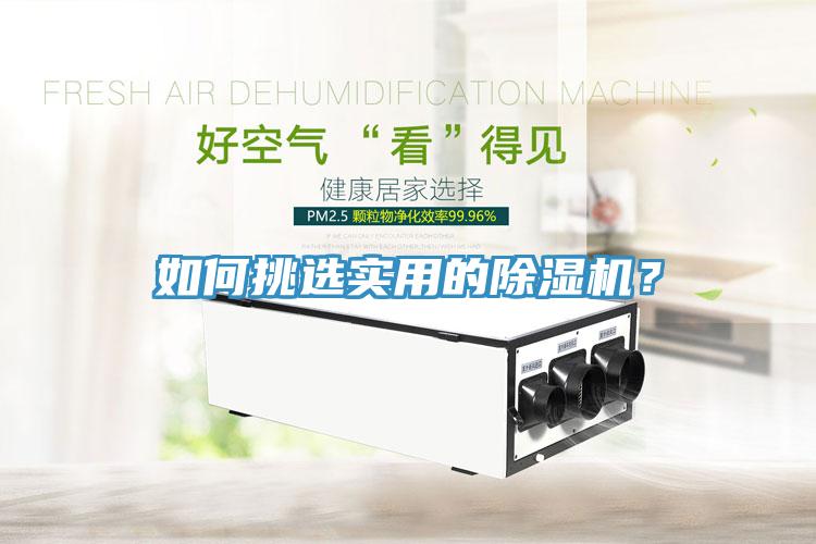 如何挑選實(shí)用的除濕機(jī)？