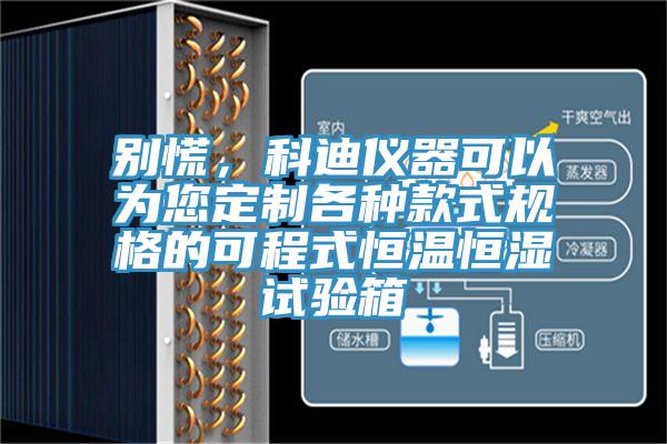 別慌，科迪儀器可以為您定制各種款式規(guī)格的可程式恒溫恒濕試驗箱