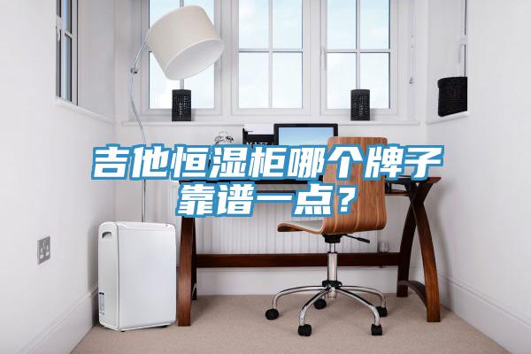 吉他恒濕柜哪個牌子靠譜一點(diǎn)？