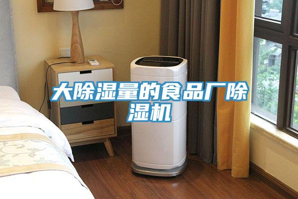 大除濕量的食品廠(chǎng)除濕機(jī)